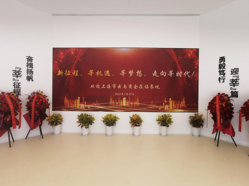 三思,智慧顯示,助力臨港,莘?？萍紙@,人才體系建設(shè)